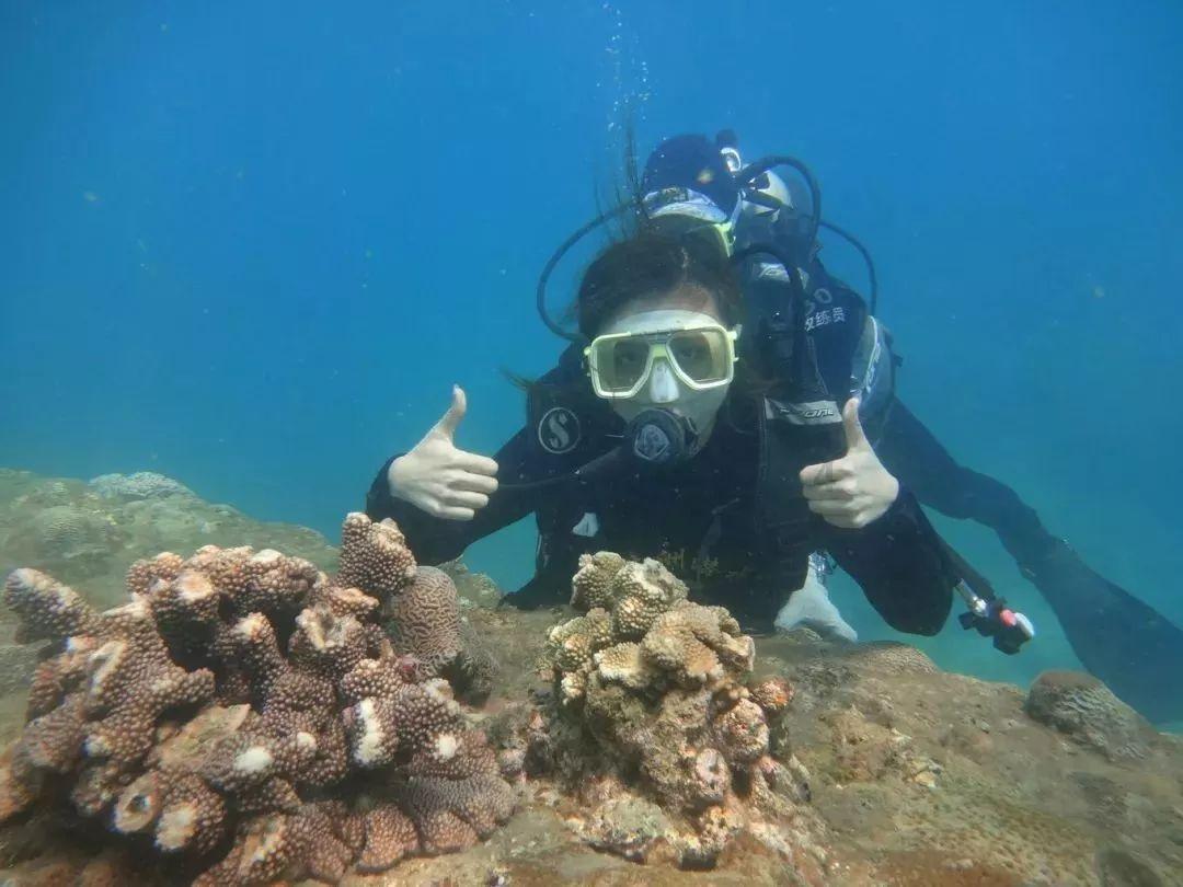 流鼻血自怎么办